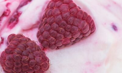 Cream Berry Fairy