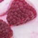 Cream Berry Fairy