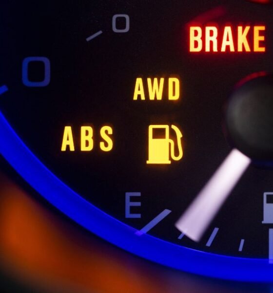 Loose Gas Cap: Check Engine Light On