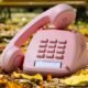 503 Area Code