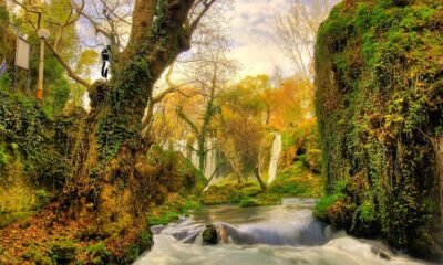 Roaring Spring
