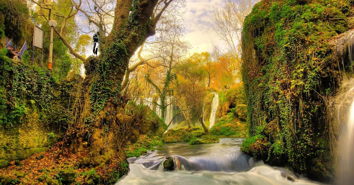 Roaring Spring