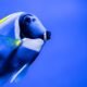 Mysteries of the Bream Sea